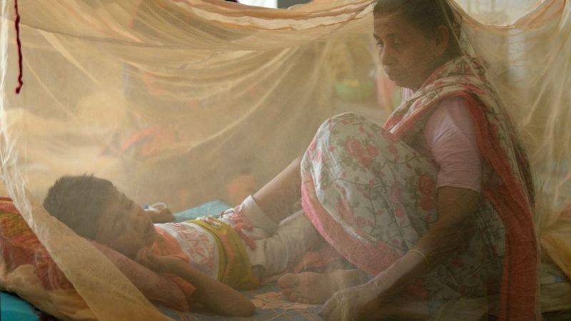 ডেঙ্গু: অগাস্ট হতে পারে 'পিক সিজন'