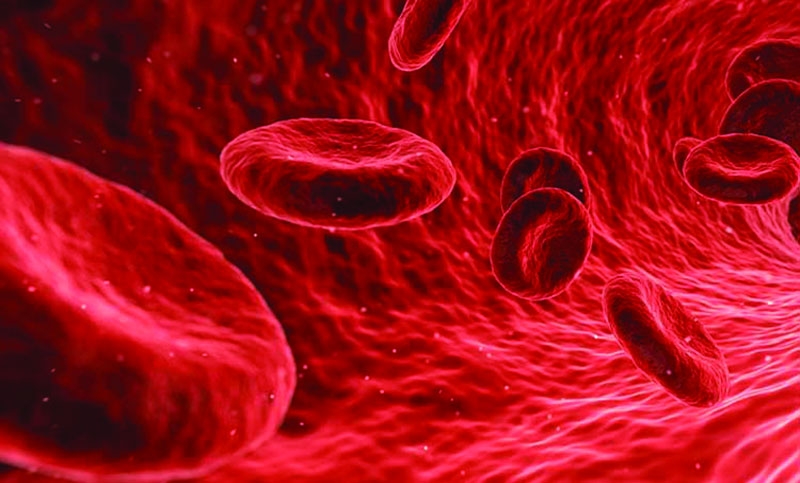 হিমোগ্লোবিনের ঘাটতি হলে শরীরে যে সকল সমস্যা হয়